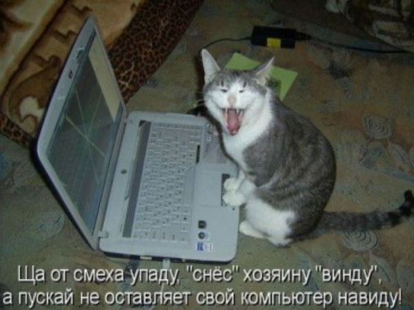 Инесса Образцова