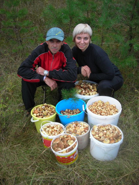 Дмитрий Щиголев