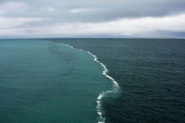 Надежда Долгих