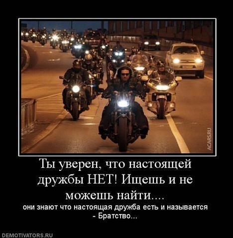 Гордая Волчица