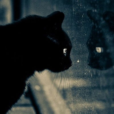 Ольга Нейфельд