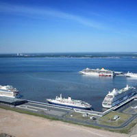 Анна Любимова