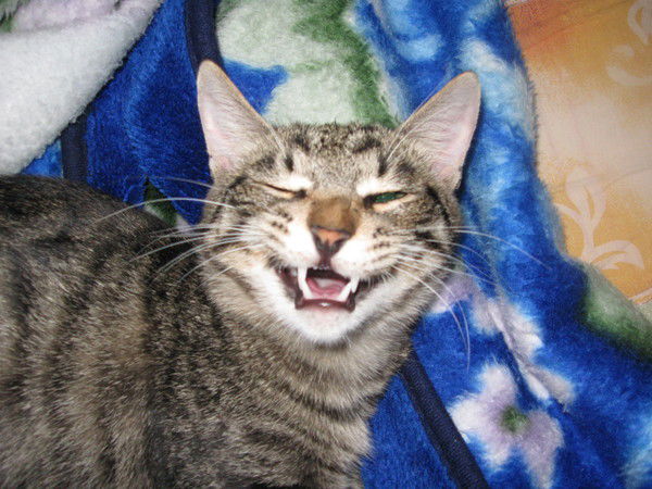 Алексей Арефьев