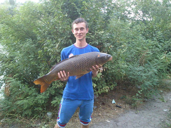 Дима Майборода