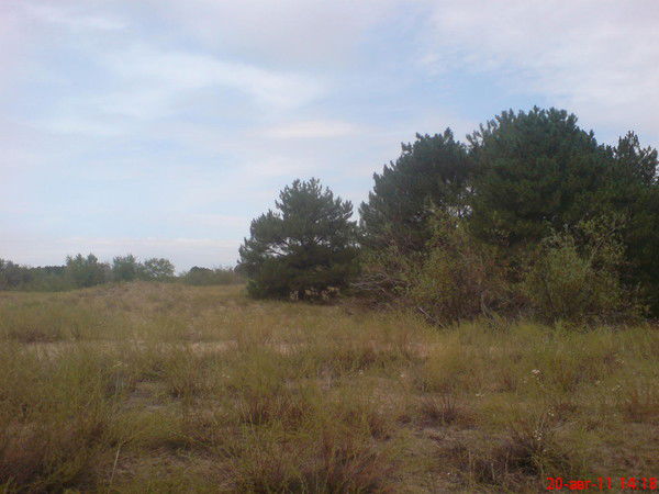 Александр Фадин