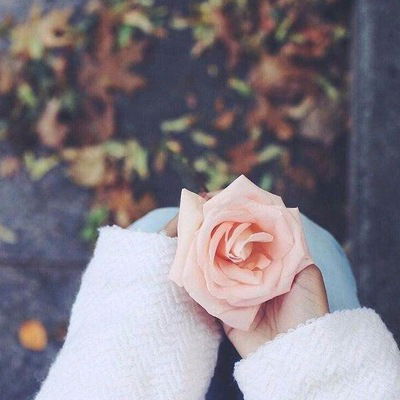 Диана Полеенко