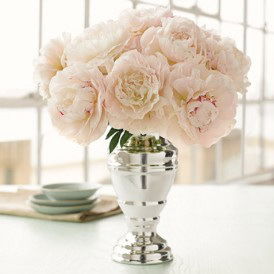 Олеся Деринг