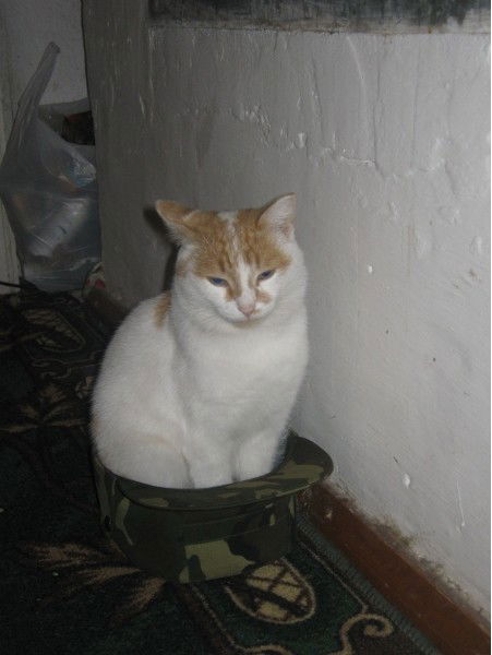 Виктор Букреев