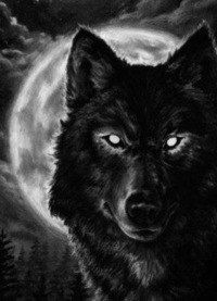 Артём Гусев