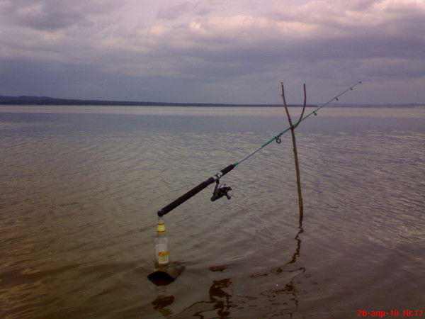 Дмитрий Карташев