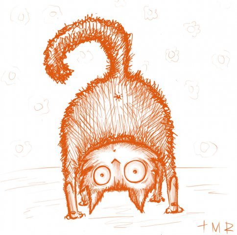 Вера Потопаева