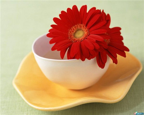 Натали Натали