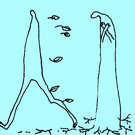 Даша Старцева(Денисова)