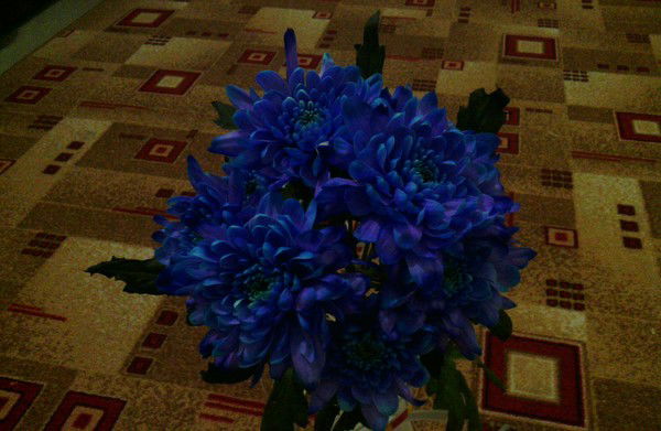 Мария Варачкина