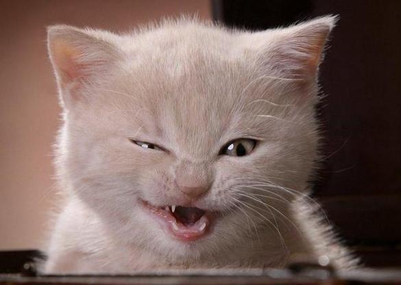 Бахытжан Бекходжаев