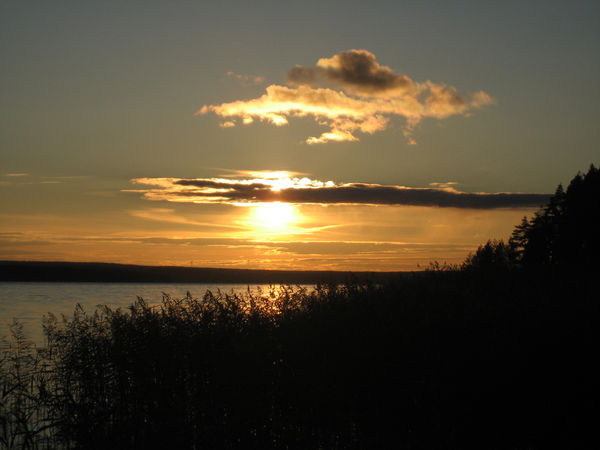 Стройкооперация Ооо