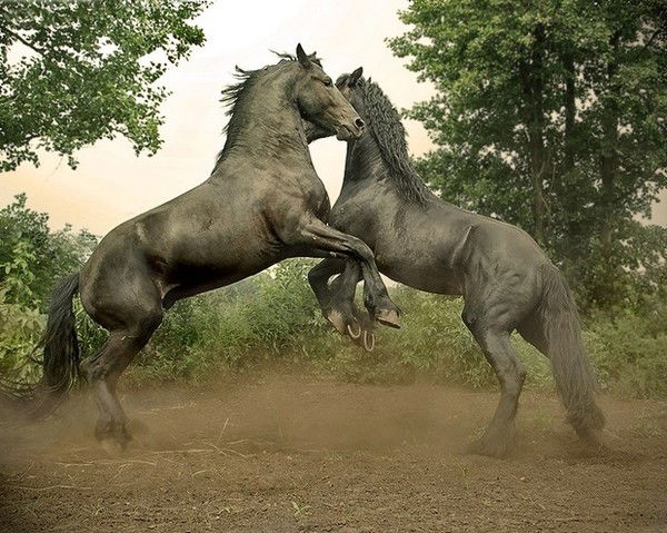 Сергей Камалов