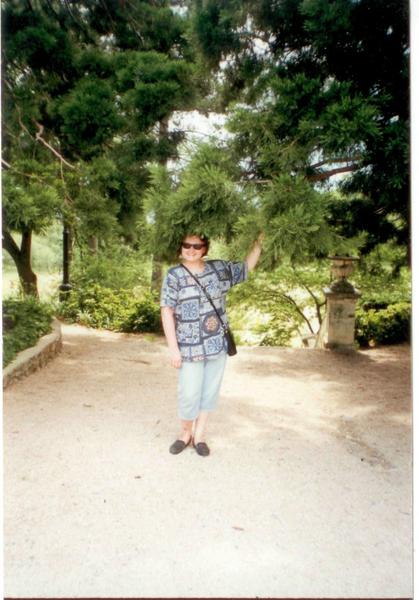 Елена Дементьева