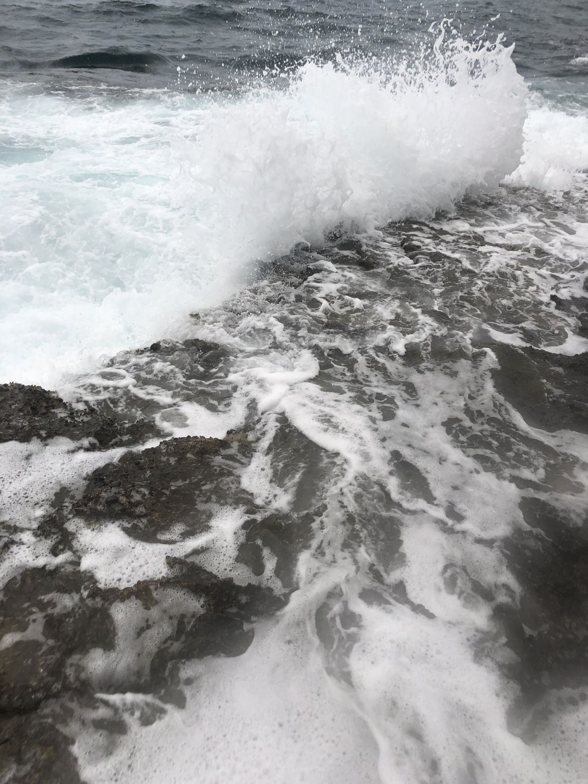 Елизавета Полякова