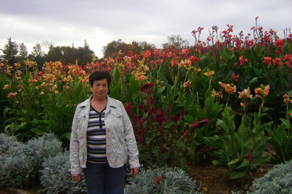 Людмила Михлина - Сокол