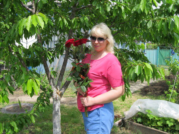 Анна Грибенко