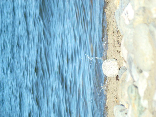 Ольга Цыбульская