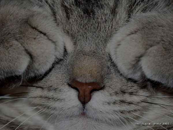 Александр Вирик