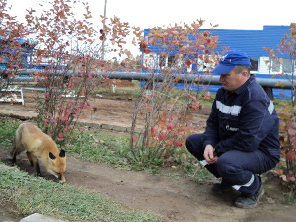 Алексей Микрюков