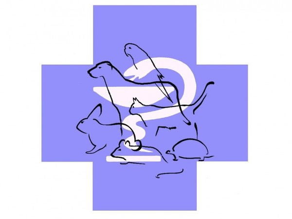 Николай Абрашкин