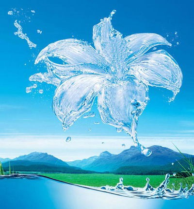 Наталья Антипина