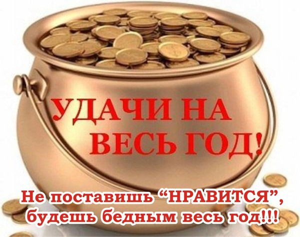 Света Гридина