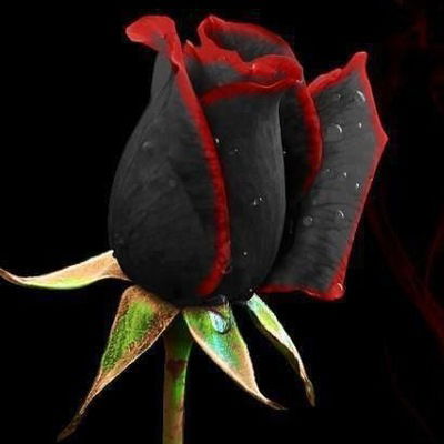 Ахмед Габдуллин