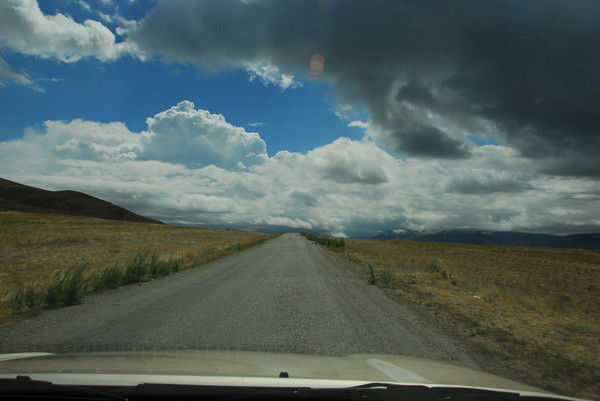 Наталья Цой