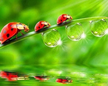 Наталья Кияева