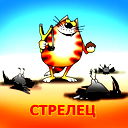 Николай Долотов