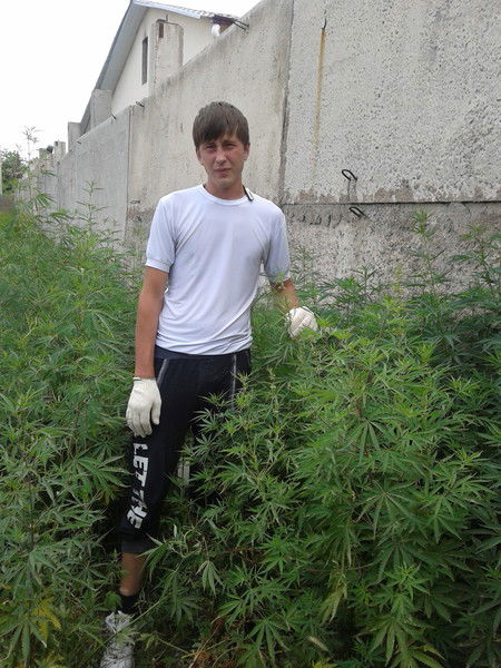 Марат Низамов