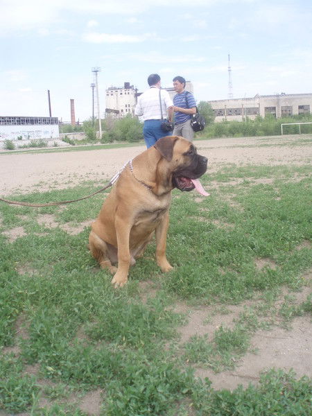 Юрий Стариков