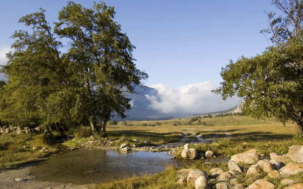 Илья Мильяченко