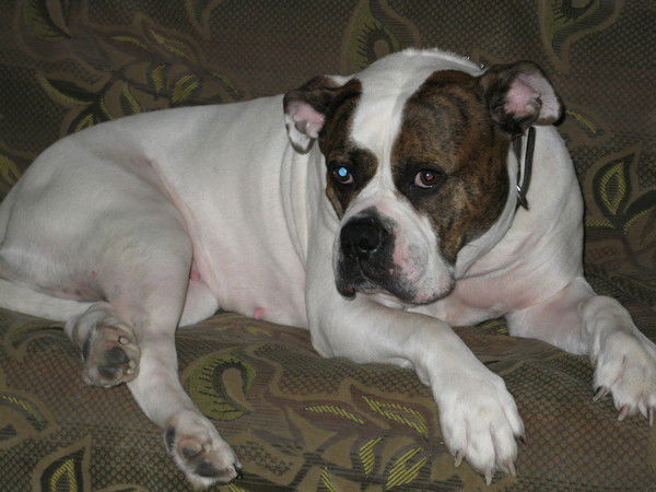 Елена Каблучко