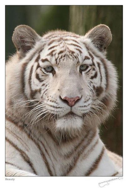 Сергей Егоров