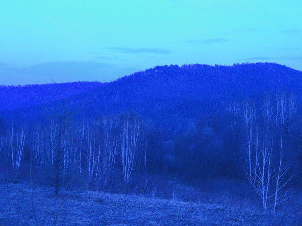 Роман Шатов