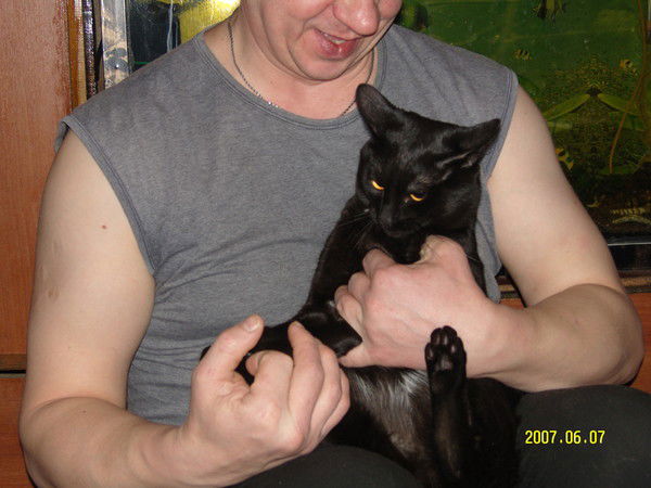 Андрей Горбунов