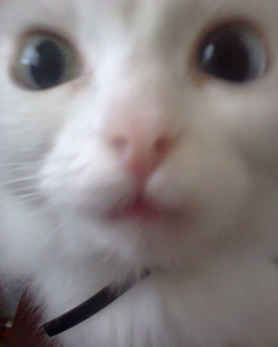 Екатерина Дегтярёва