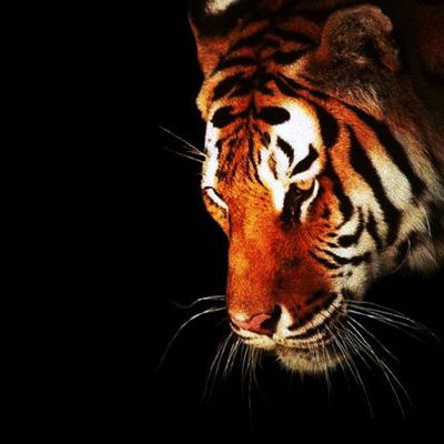 Александр Князев