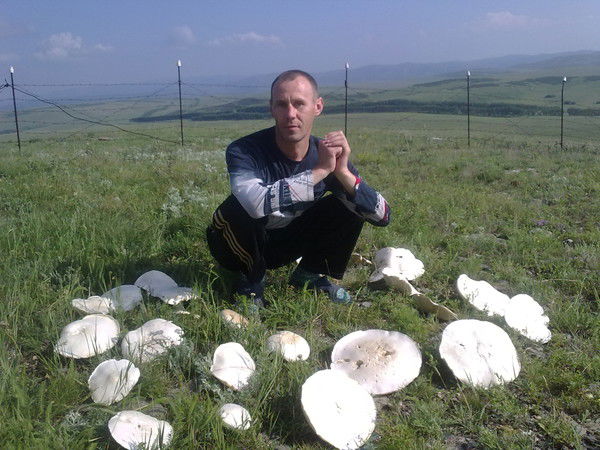 Евгений Кайдаш