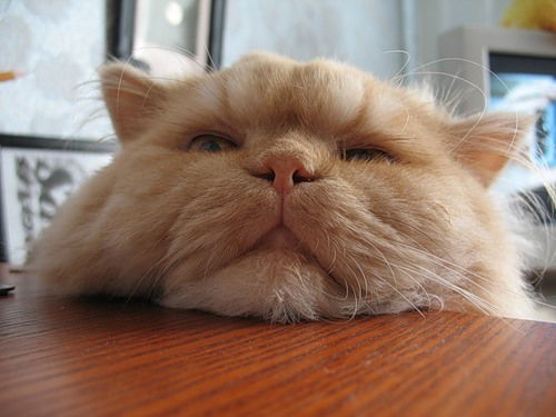 Игорь Беляев