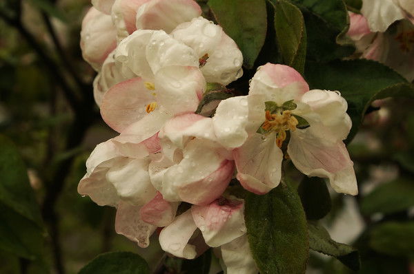 Людмила Кондратьева