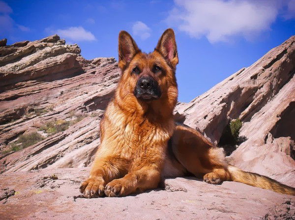 Николай Клиншов