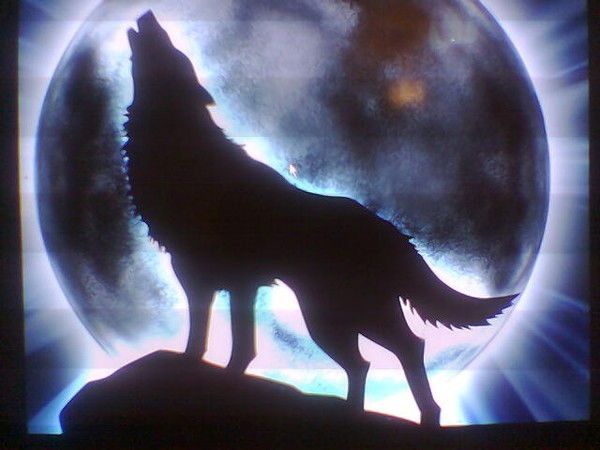 Zamandin Abdulkayumov