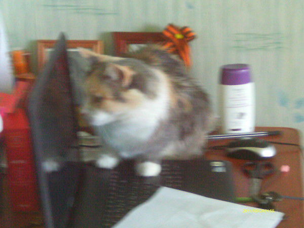 Екатерина Занина